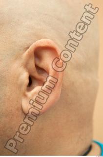 Ear texture of street references 438 0001